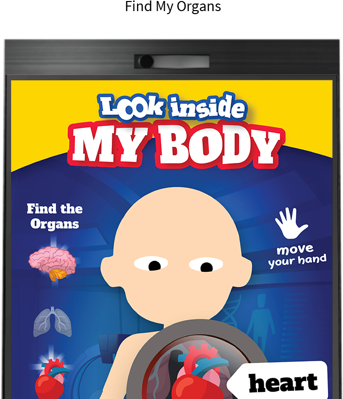 Interactive Body Organ Discovery Game