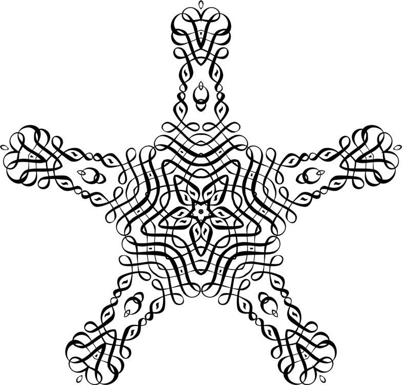 Line Art,plant,symmetry - Line Art, HD Png Download PNG with transparent background