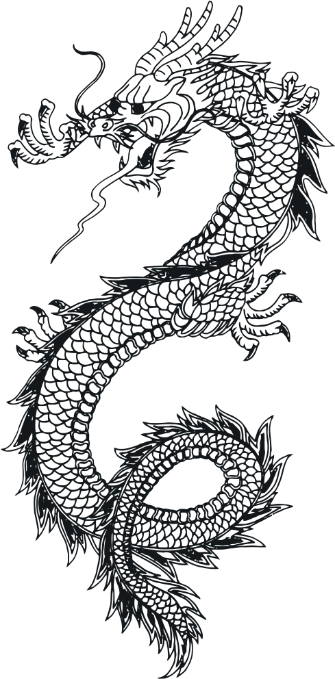 Intricate Dragon Tattoo Design