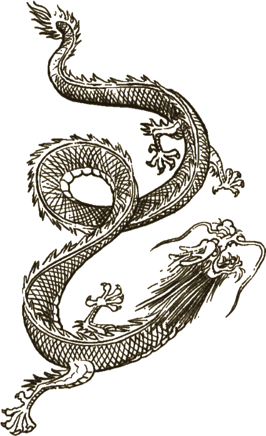 Intricate Dragon Tattoo Design