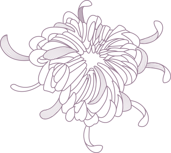 Intricate Flower Outline Design