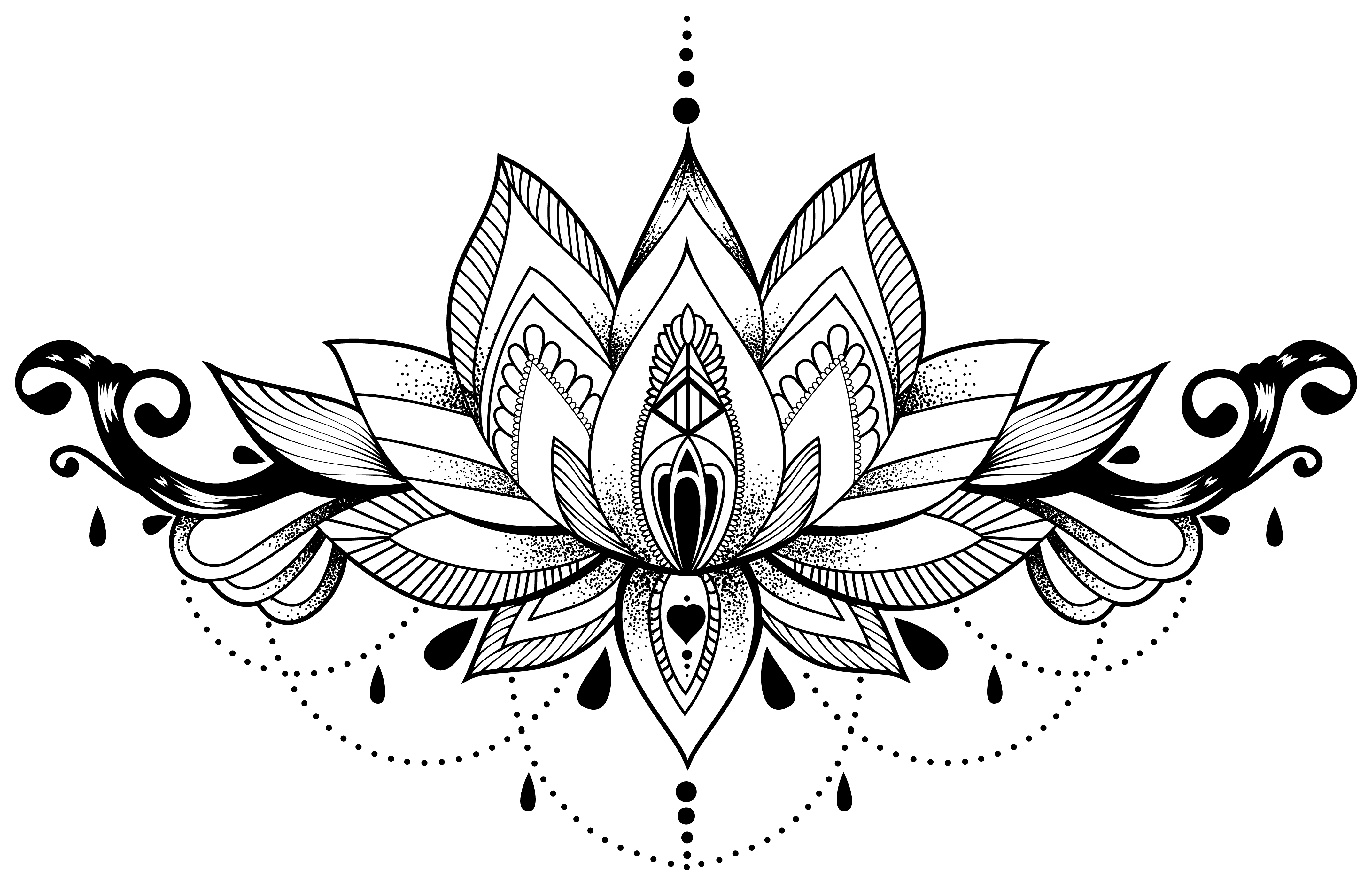 Intricate Lotus Flower Outline