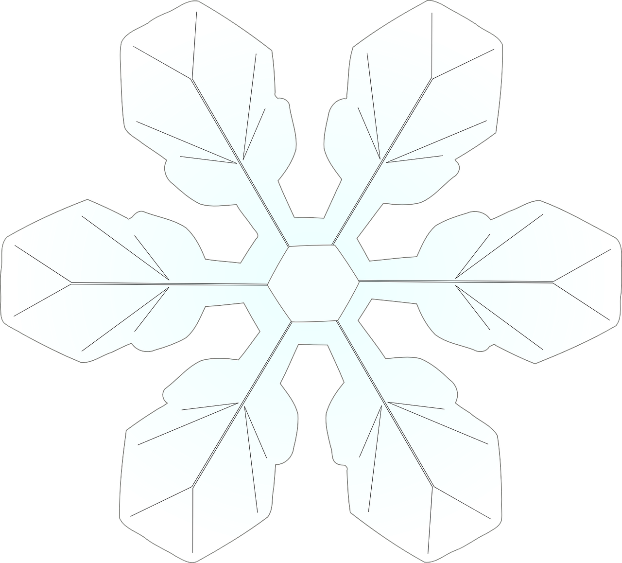 Intricate Snowflake Design