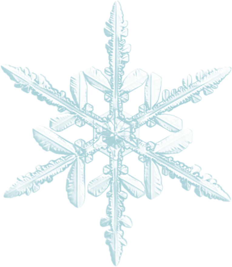 Intricate Snowflake Design