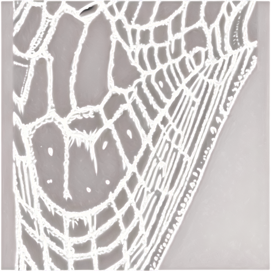 Intricate Spider Web Artwork