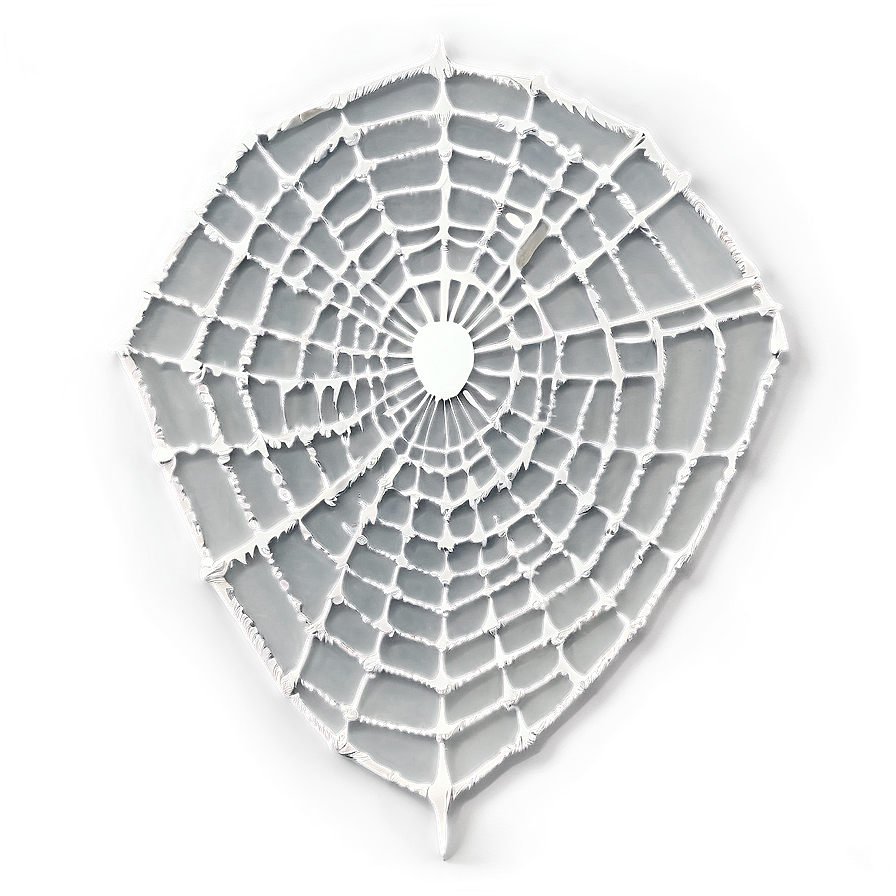 Intricate Spider Web Artwork