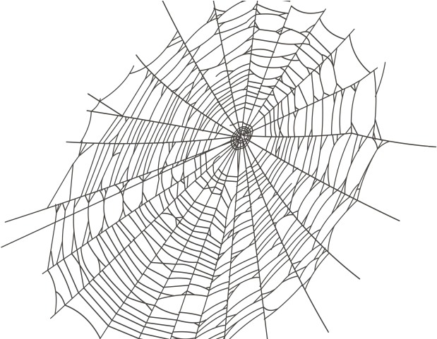 Intricate Spider Web Design