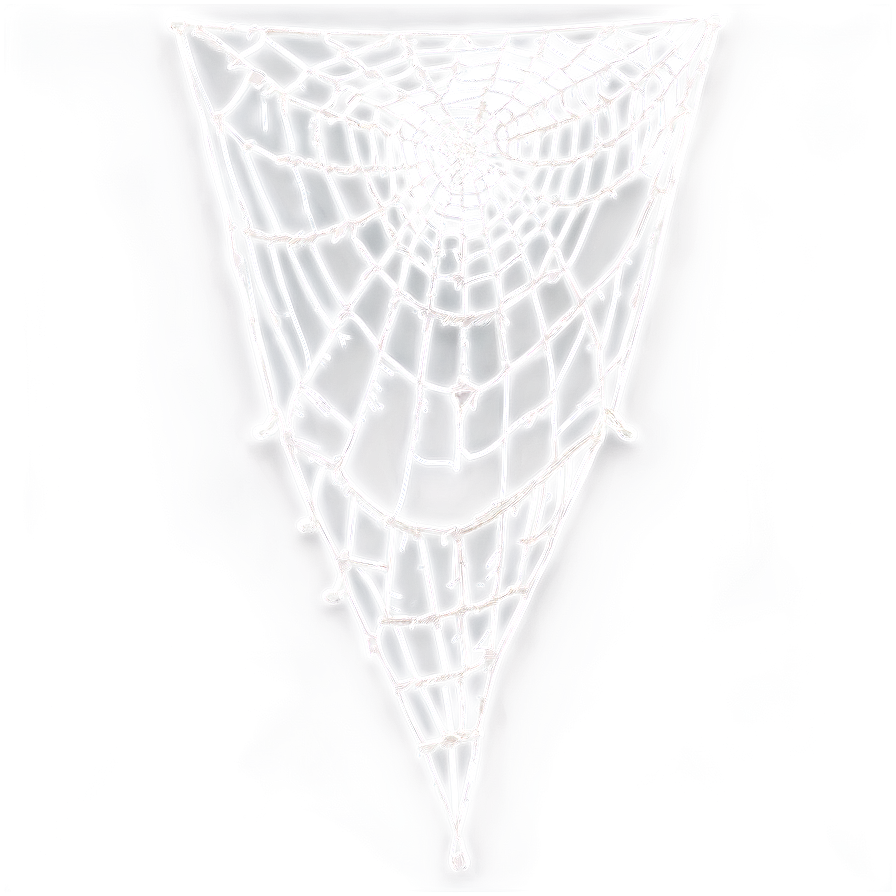 Intricate Spider Web Design