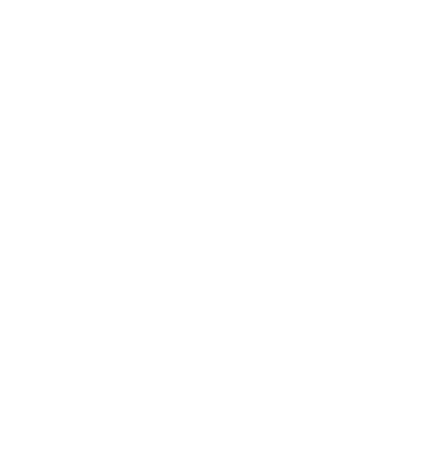 Intricate Spider Web Design