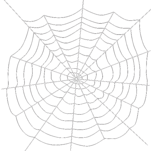 Intricate Spider Web Design