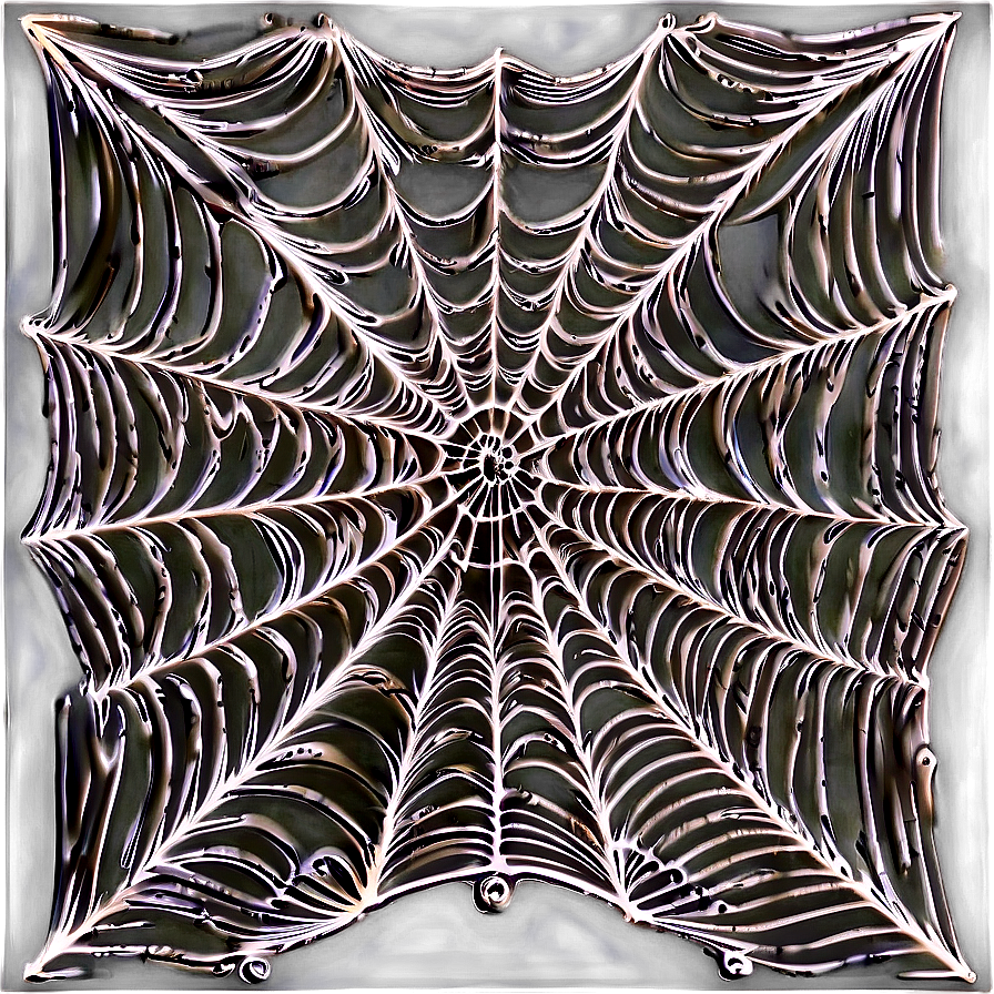 Intricate Spider Web Design