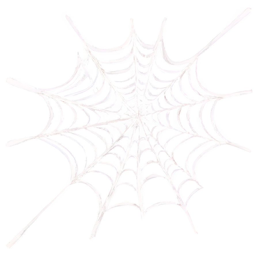 Intricate Spider Web Drawing