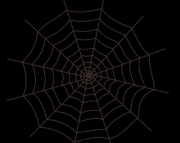 Intricate Spider Webon Dark Background