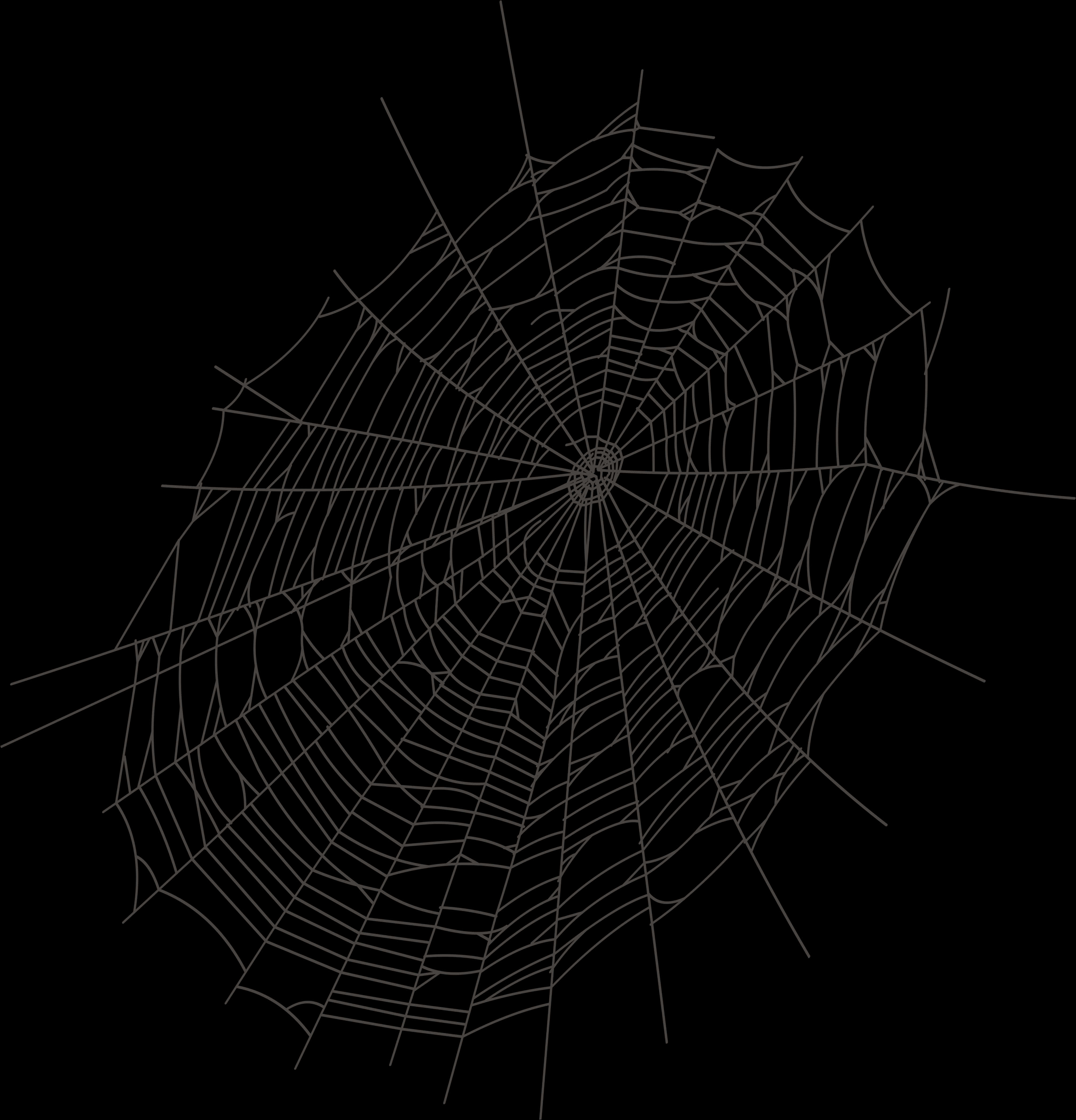 Intricate Spider Webon Dark Background PNG with transparent background