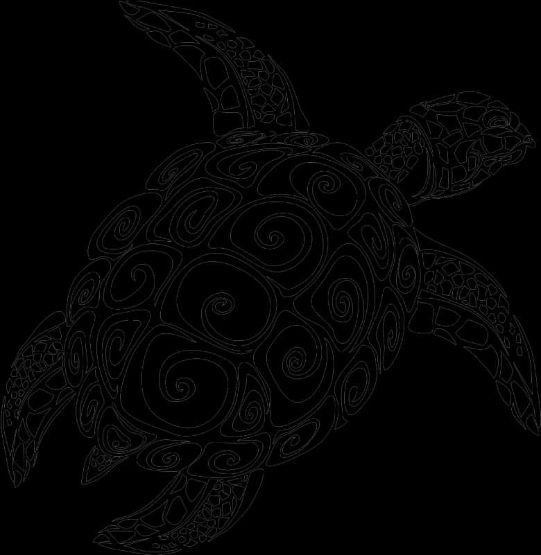 Intricate Turtle Design