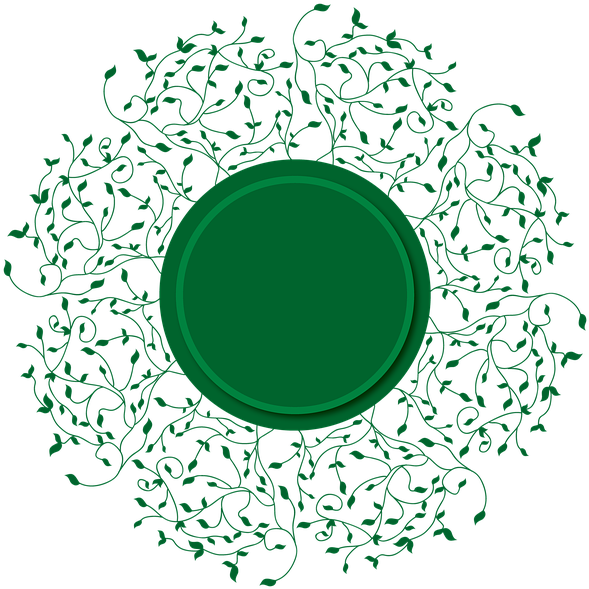 Intricate Vine Floral Design Outline.png