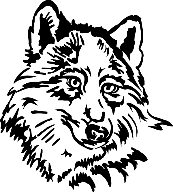 Intricate Wolf Silhouette Graphic