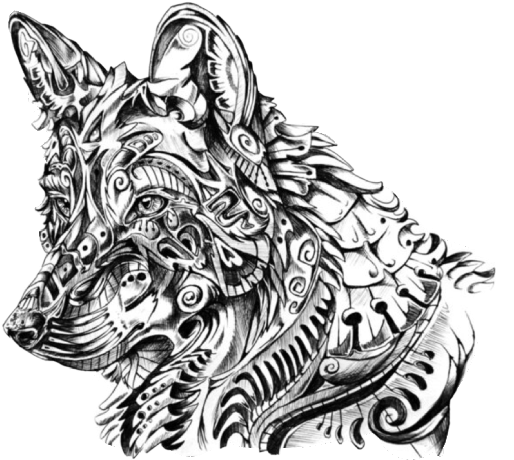 Intricate Wolf Sketch Art