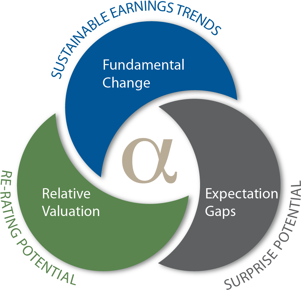 Investment Strategy Components Venn Diagram