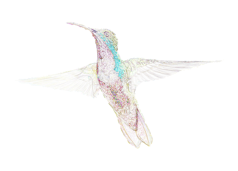 Iridescent Hummingbird Artwork PNG with transparent background