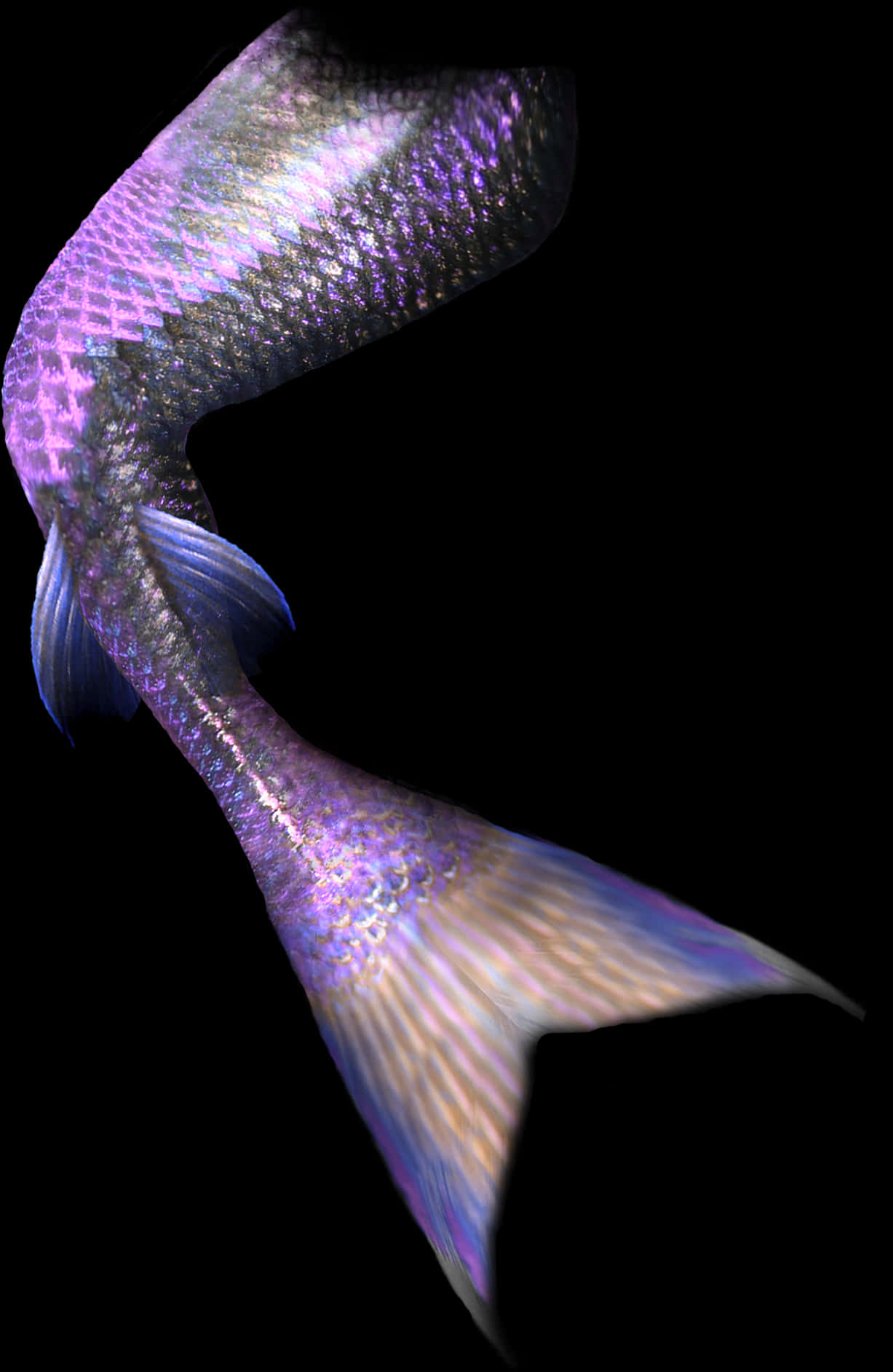 Iridescent Mermaid Tail