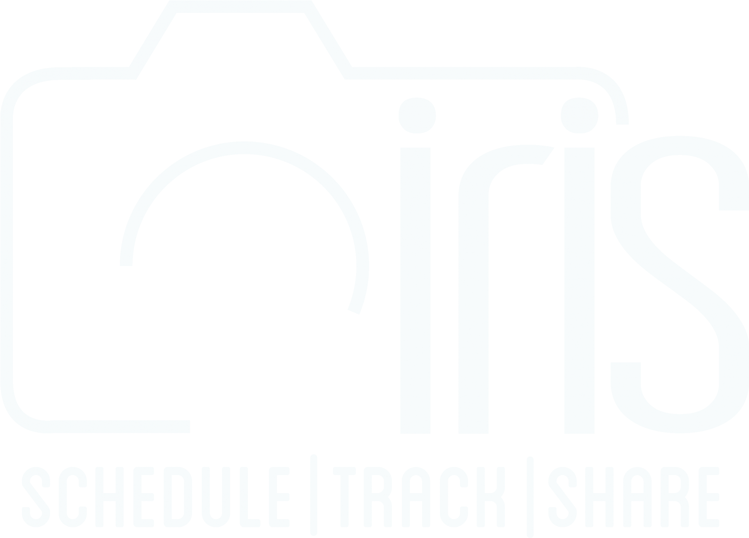 Iris Logo Gray Scale