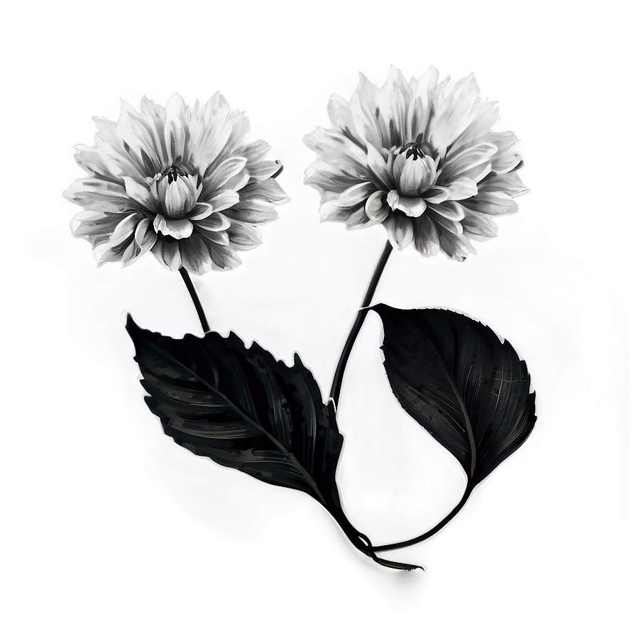 Isolated Black And White Flowers Png 45