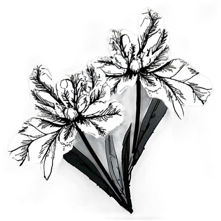 Isolated Black And White Flowers Png 90