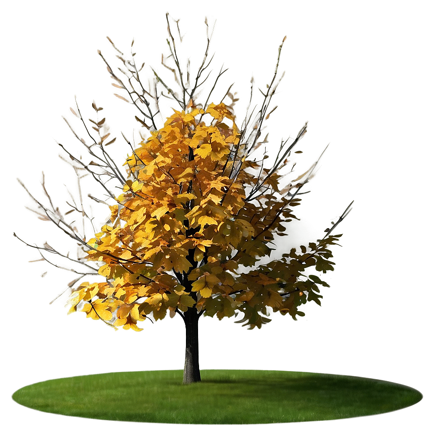 Isolated Fall Tree Png Hie73