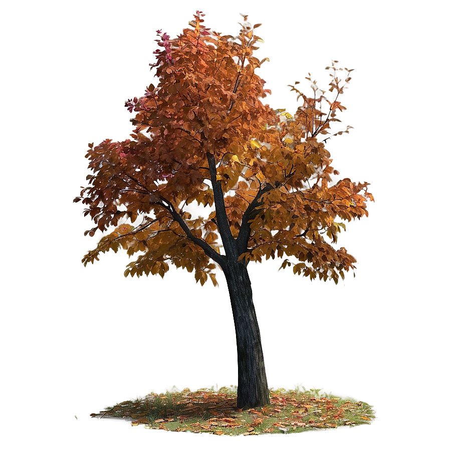 Isolated Fall Tree Png Kvt87