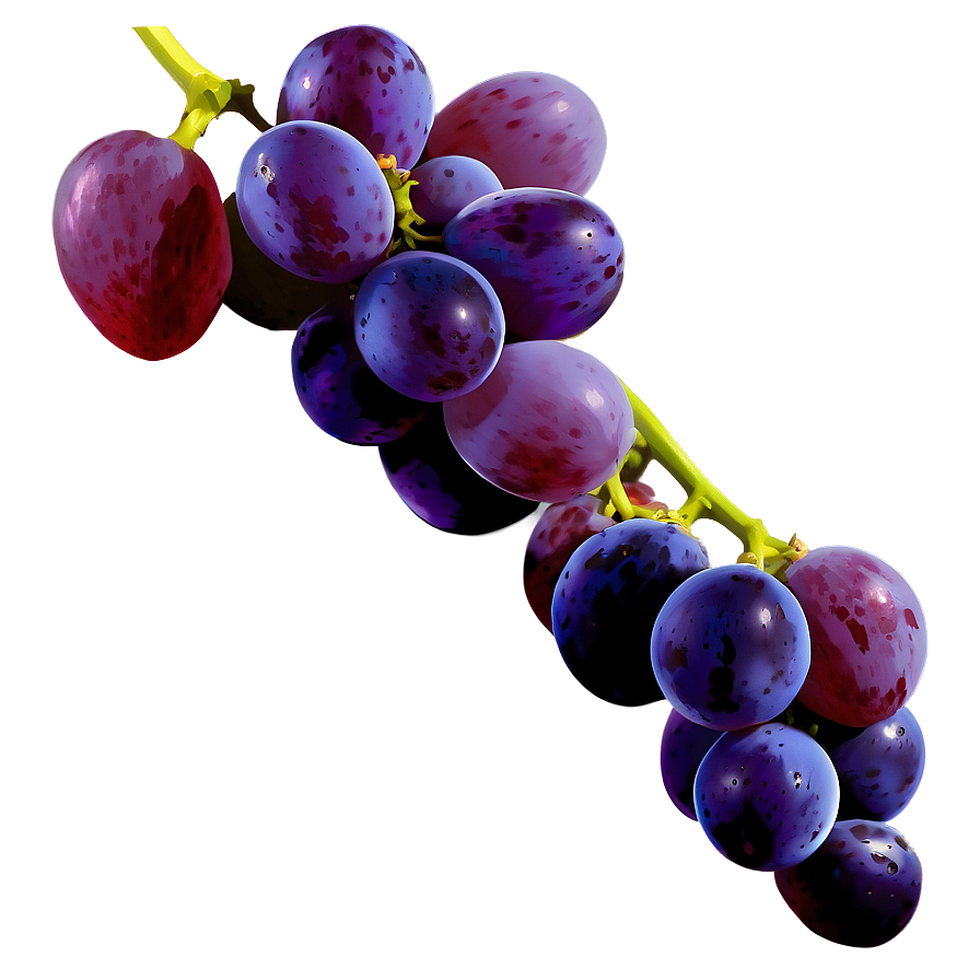 Isolated Grape Picture Png 68