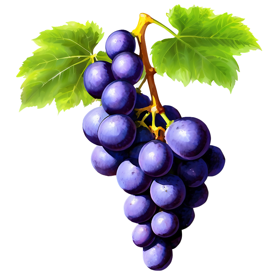 Isolated Grapes Png 96