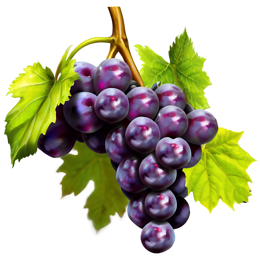 Isolated Grapes Png Gji73