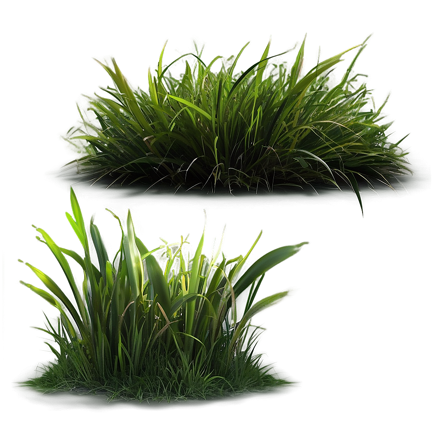 Isolated Grass Patch Png 06212024