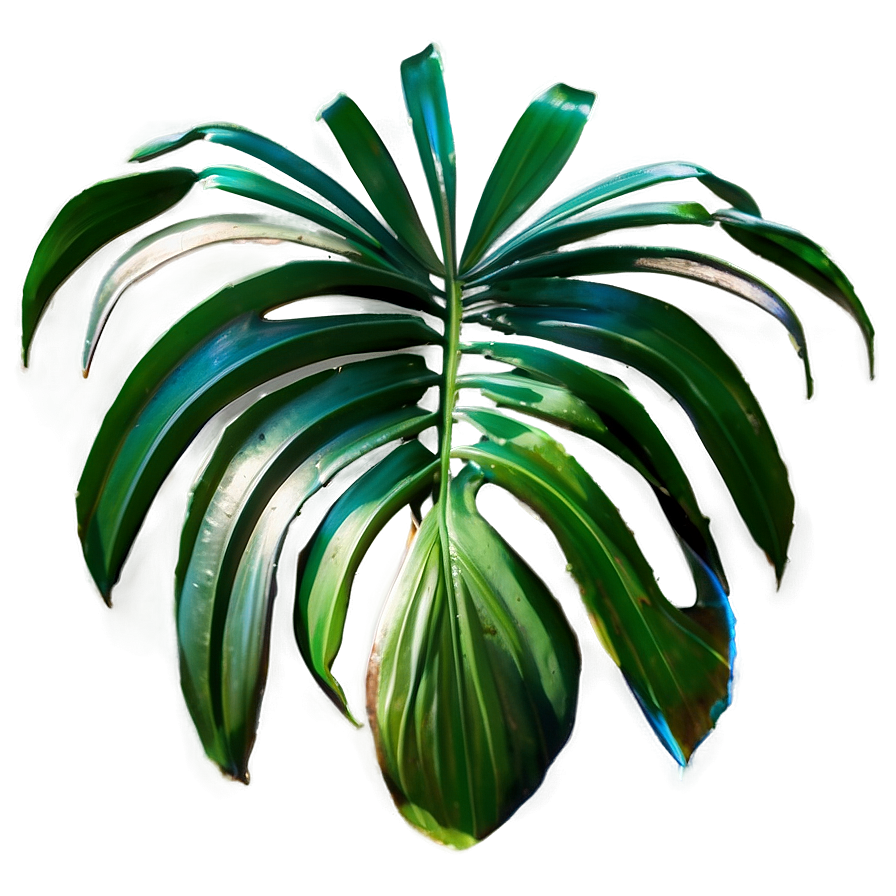 Isolated Palm Leaves Png 62