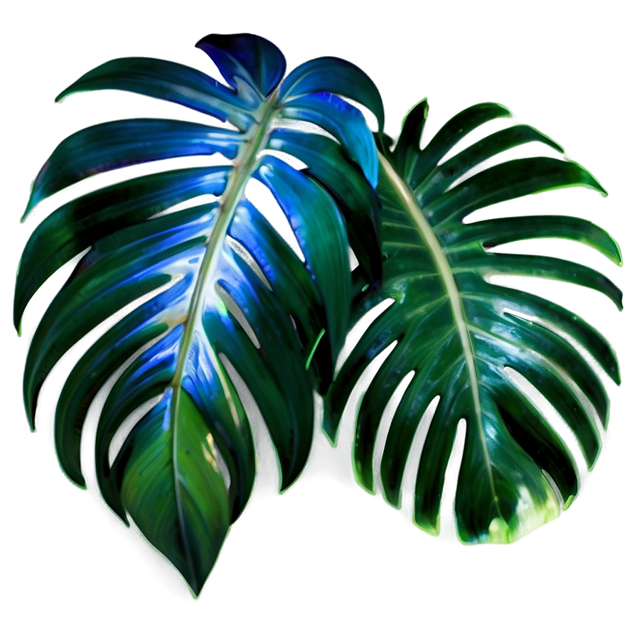 Isolated Palm Leaves Png Xvk