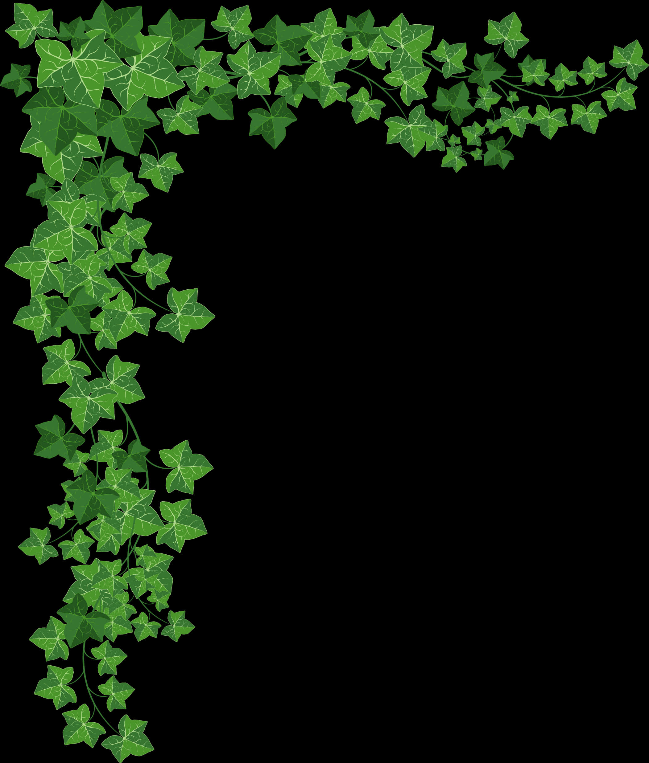 Ivy Vineson Black Background PNG image with a transparent background, free high-resolution download