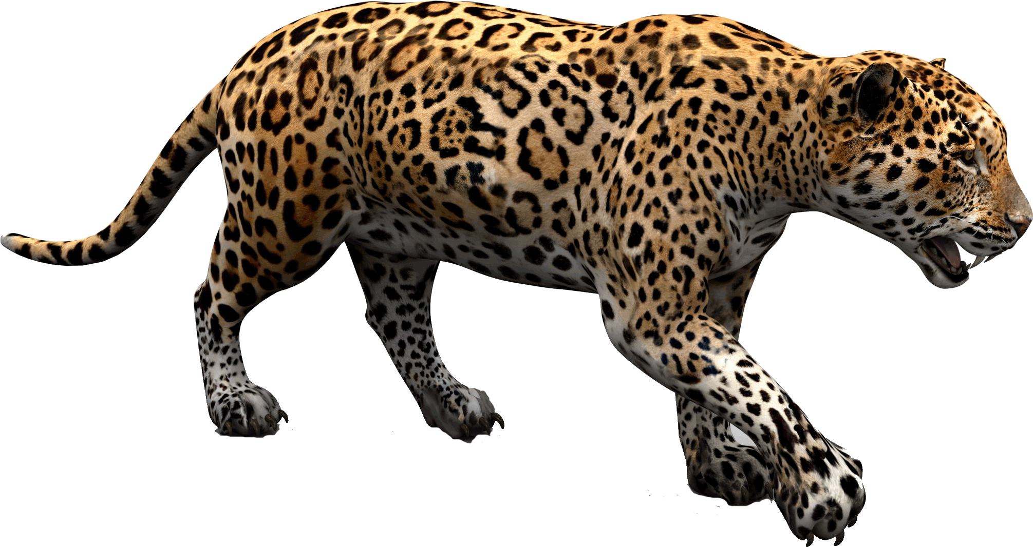 Jaguar Cars Jaguar Land Rover - Jaguar Png, Transparent Png PNG with transparent background