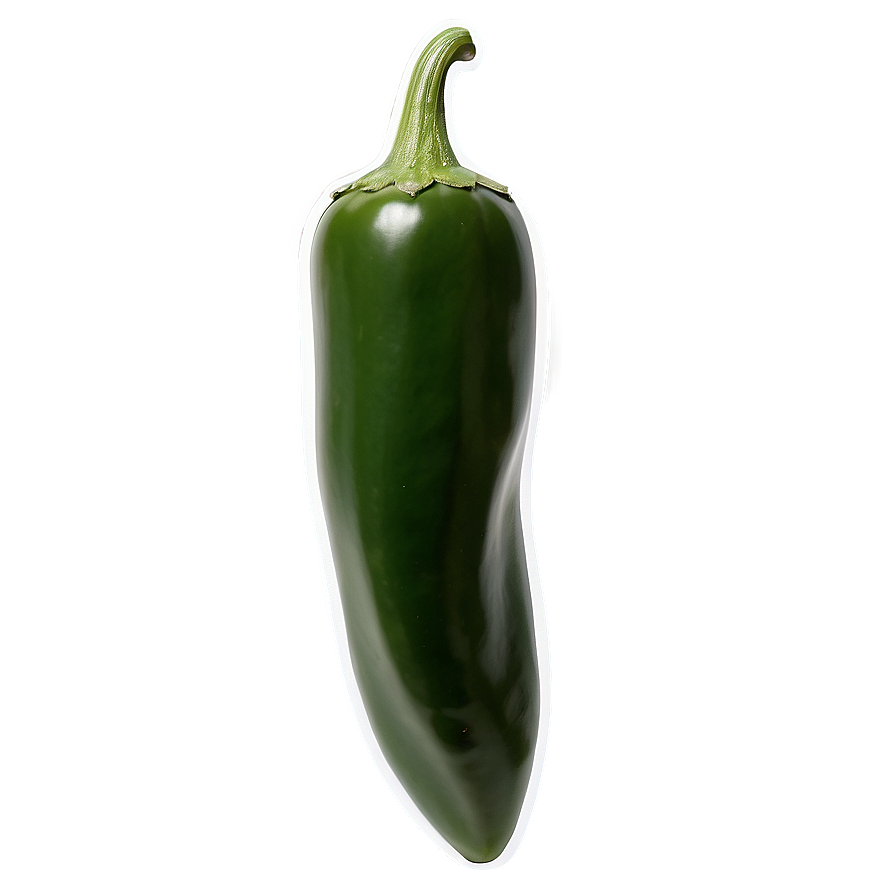 Jalapeno Pepper PNG 05242024 PNG with transparent background