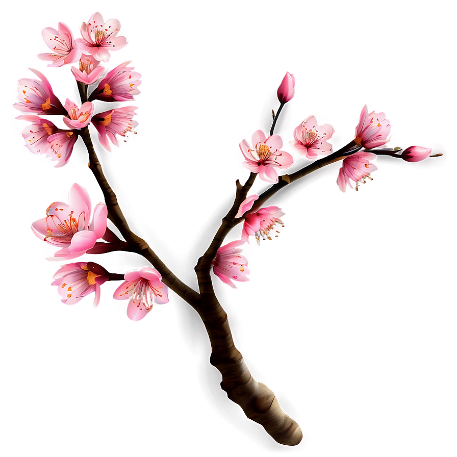 Japanese Cherry Blossom Branch Png 94