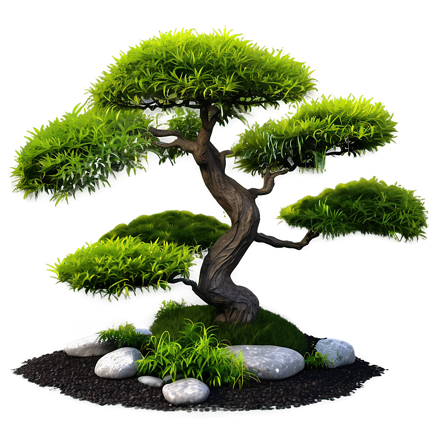 Japanese Garden Shrubs Png Bvf