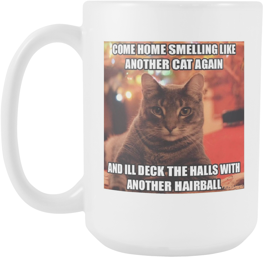 Jealous Cat Meme Mug