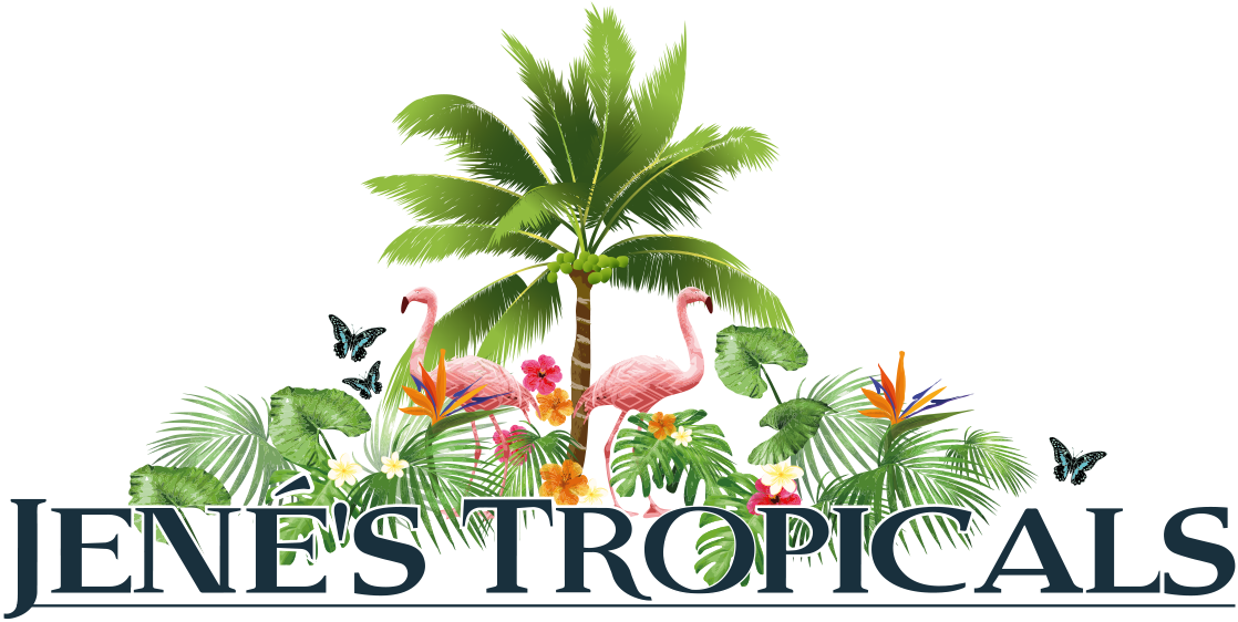 Jenes Tropicals Logo Flamingos Palm Tree