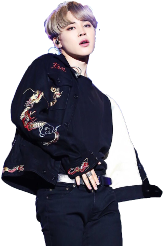 Jimin Posingin Embroidered Jacket