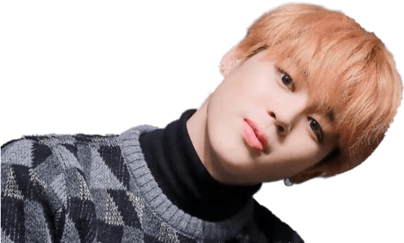 Jiminin Plaid Sweater PNG with transparent background