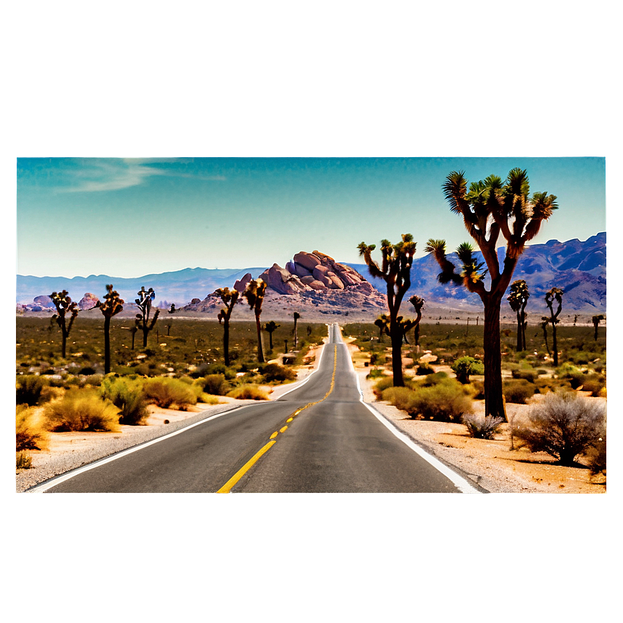 Joshua Tree Desert Road Png 31