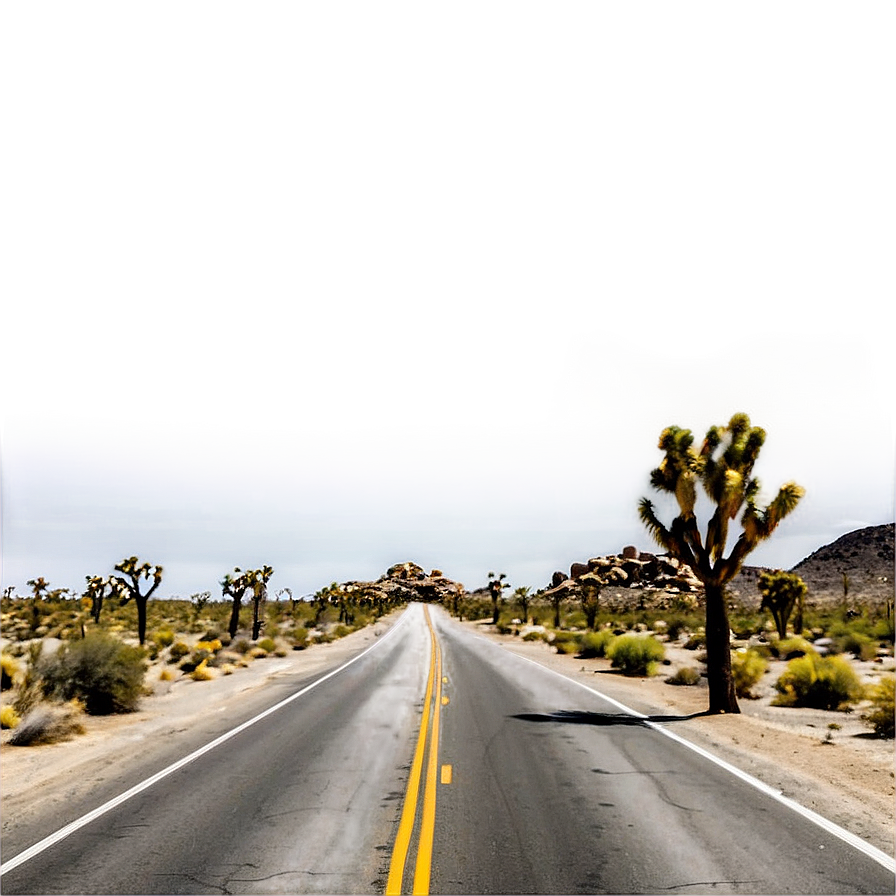 Joshua Tree Desert Road Png Fbf69