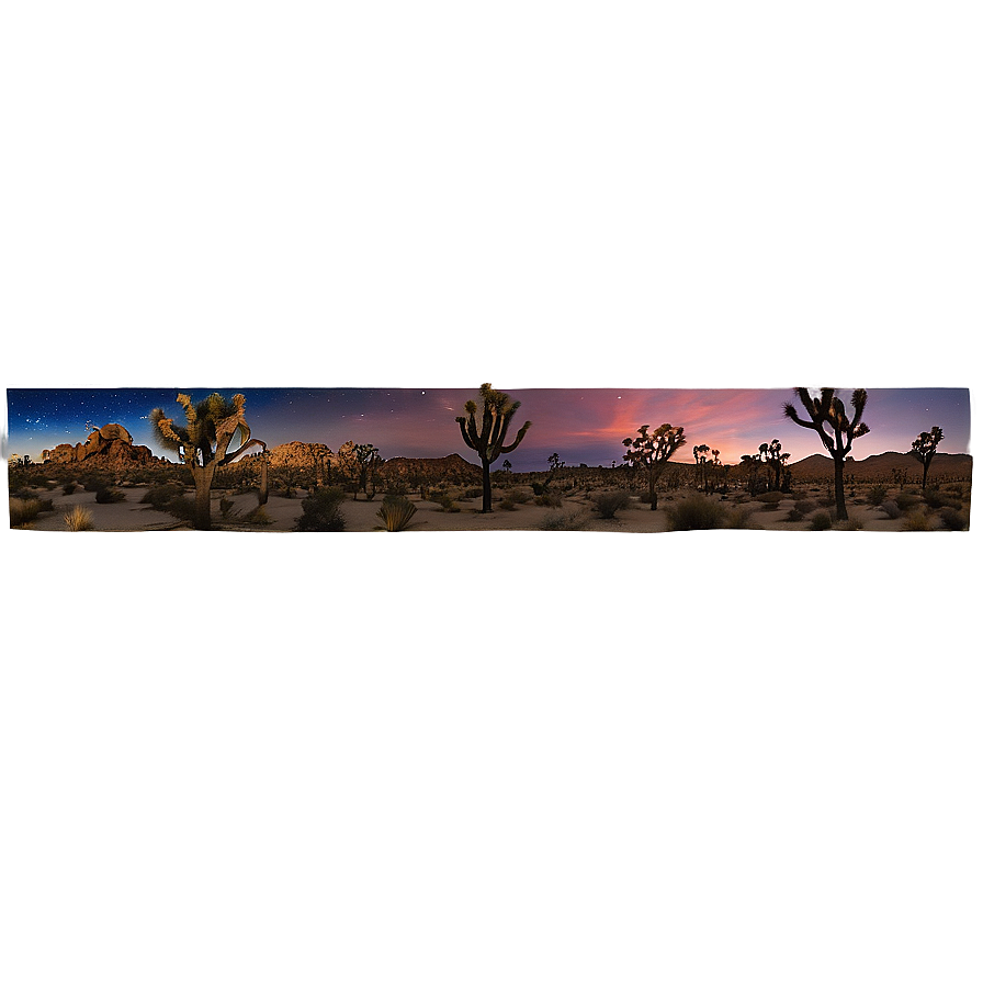 Joshua Tree Night Sky Panorama Png 06262024