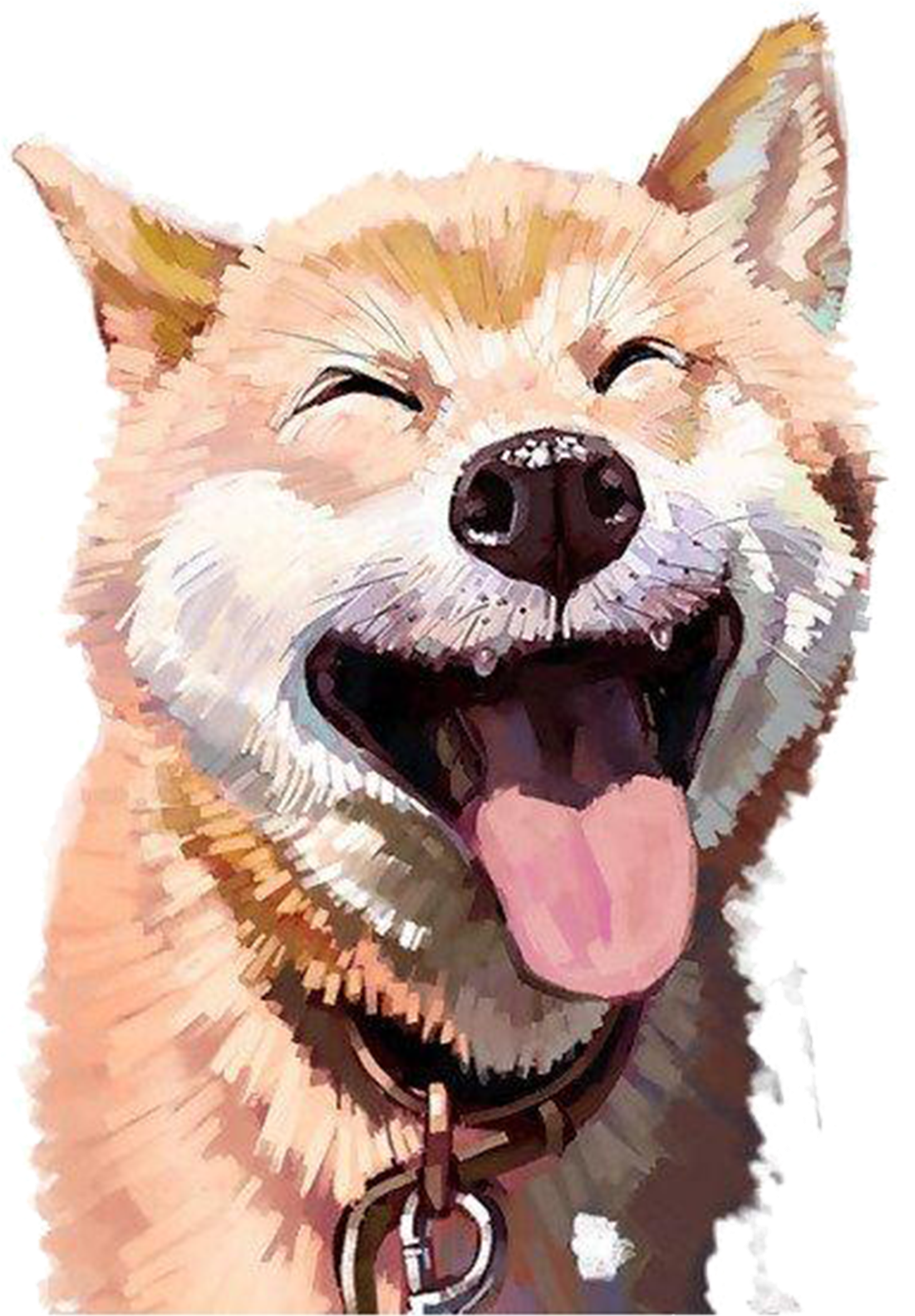 Transparent Dog Cat Png - Dog Laughing Transparent Background, Png Download PNG with transparent background