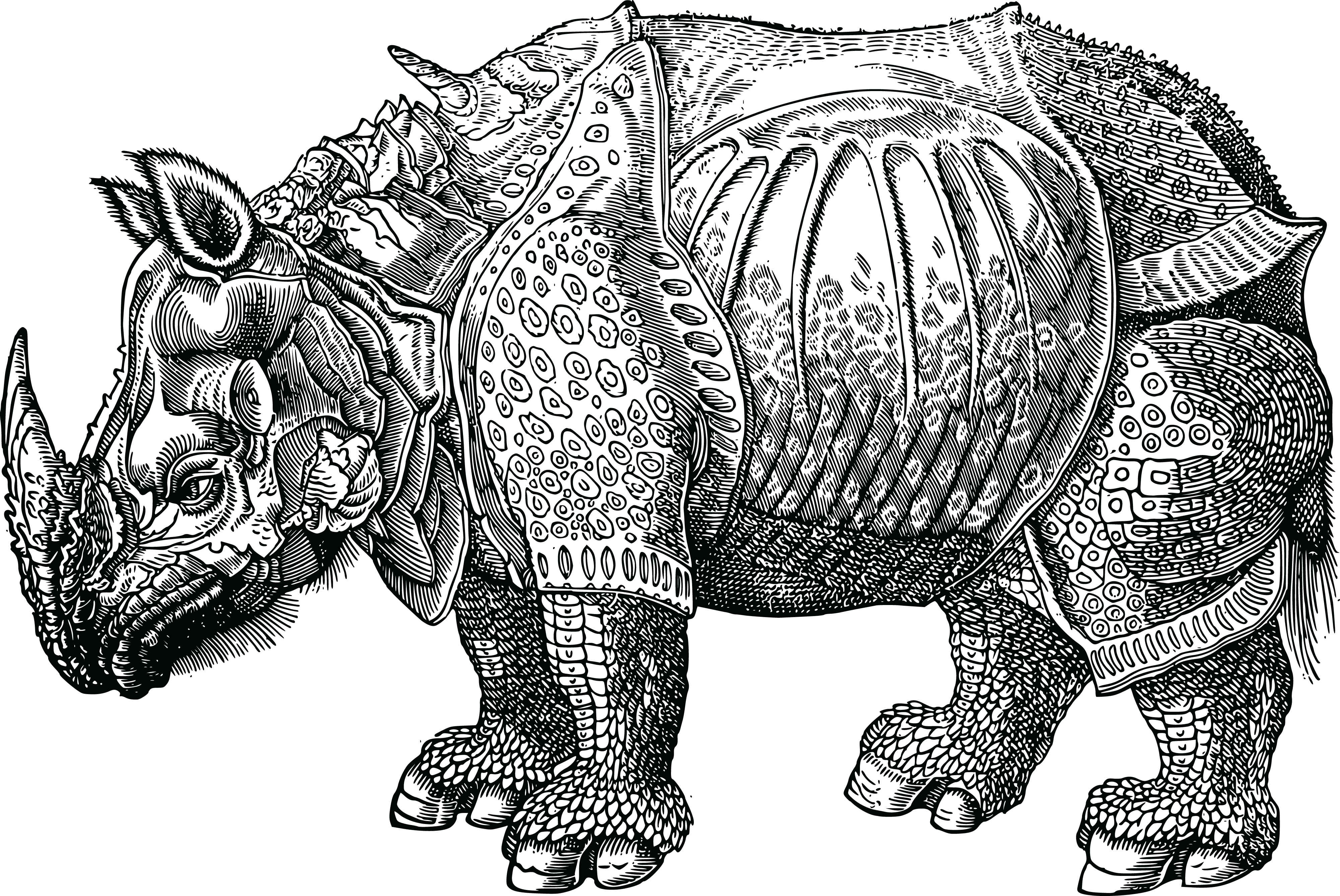 Jpg, Png, Eps, Ai, Svg, Cdr - Fantastic Creatures Coloring Pages, Transparent Png PNG with transparent background